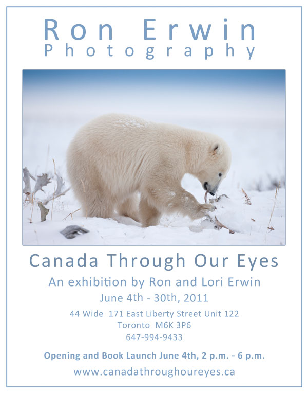Canada Through Our Eyes - click polar bear for details on the photo exhibit